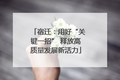 宿迁：用好“关键一招” 释放高质量发展新活力