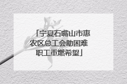 宁夏石嘴山市惠农区总工会助困难职工重燃希望