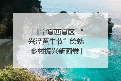 宁夏西夏区 “兴泾黄牛节”绘就乡村振兴新画卷
