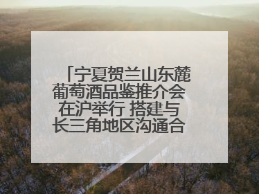 宁夏贺兰山东麓葡萄酒品鉴推介会在沪举行 搭建与长三角地区沟通合作的桥梁