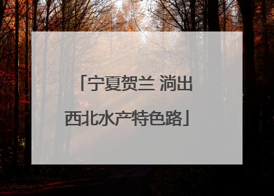 宁夏贺兰 淌出西北水产特色路