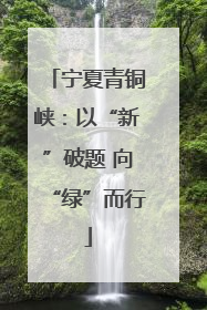 宁夏青铜峡：以“新”破题 向“绿”而行