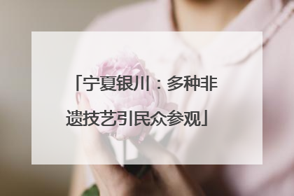 宁夏银川：多种非遗技艺引民众参观