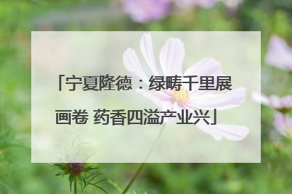 宁夏隆德：绿畴千里展画卷 药香四溢产业兴