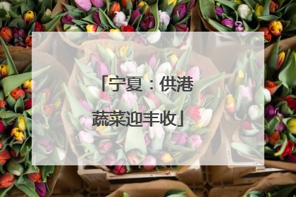 宁夏：供港蔬菜迎丰收