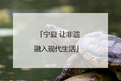 宁夏 让非遗融入现代生活