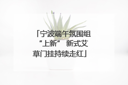 宁波端午氛围组“上新” 新式艾草门挂持续走红