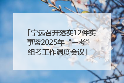 宁远召开落实12件实事暨2025年“三考”组考工作调度会议