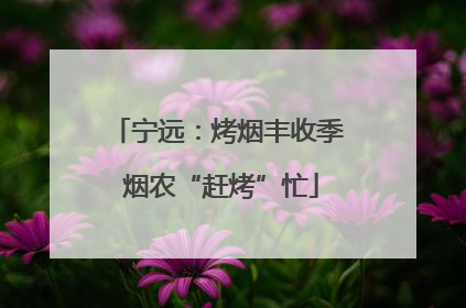 宁远：烤烟丰收季 烟农“赶烤”忙