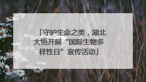 守护生命之美，湖北大悟开展“国际生物多样性日”宣传活动