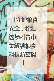 守护粮食安全，徐汇这场科普市集解锁粮食科技新密码