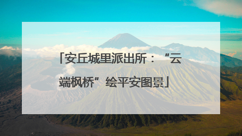 安丘城里派出所：“云端枫桥”绘平安图景