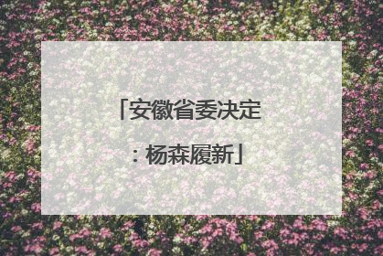 安徽省委决定：杨森履新