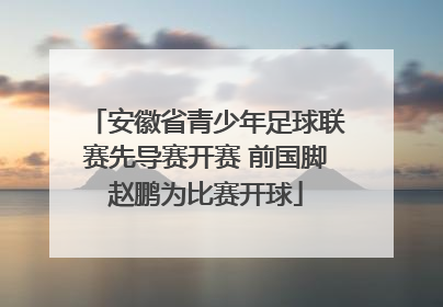 安徽省青少年足球联赛先导赛开赛 前国脚赵鹏为比赛开球