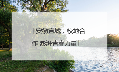 安徽宣城：校地合作 澎湃青春力量