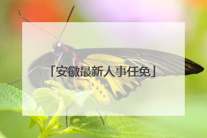 安徽最新人事任免