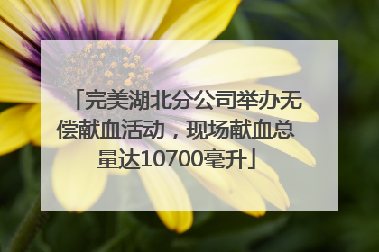完美湖北分公司举办无偿献血活动，现场献血总量达10700毫升