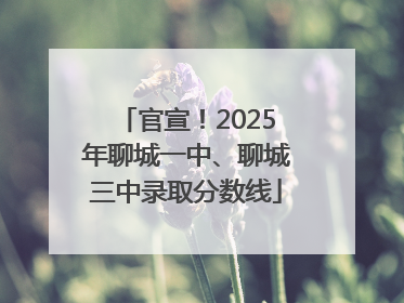 官宣！2025年聊城一中、聊城三中录取分数线