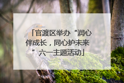 官渡区举办“润心伴成长，同心护未来”六一主题活动
