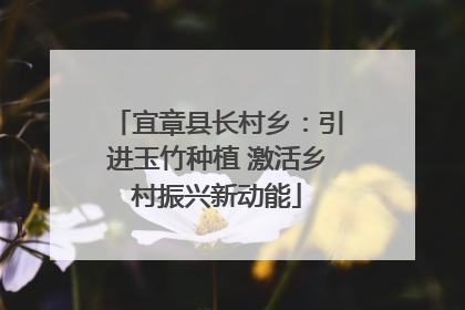 宜章县长村乡：引进玉竹种植 激活乡村振兴新动能
