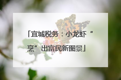 宜城税务：小龙虾“烹”出富民新图景