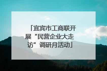 宜宾市工商联开展“民营企业大走访”调研月活动