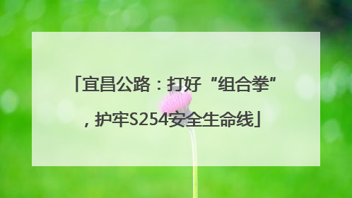 宜昌公路：打好“组合拳”，护牢S254安全生命线