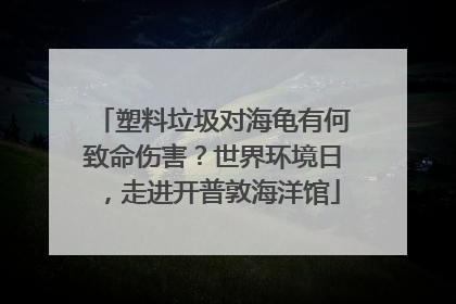 塑料垃圾对海龟有何致命伤害？世界环境日，走进开普敦海洋馆