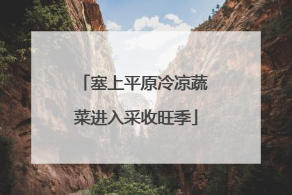 塞上平原冷凉蔬菜进入采收旺季