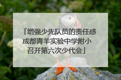 增强少先队员的责任感 成都青羊实验中学附小召开第六次少代会