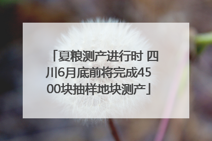 夏粮测产进行时 四川6月底前将完成4500块抽样地块测产