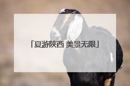夏游陕西 美景无限