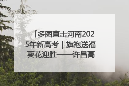 多图直击河南2025年新高考｜旗袍送福 葵花迎胜——许昌高考首日拉开帷幕
