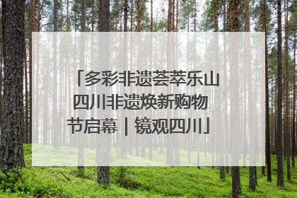 多彩非遗荟萃乐山 四川非遗焕新购物节启幕｜镜观四川