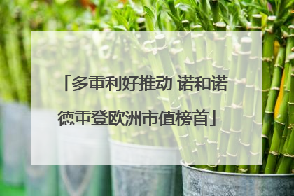 多重利好推动 诺和诺德重登欧洲市值榜首