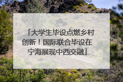 大学生毕设点燃乡村创新！国际联合毕设在宁海展现中西交融