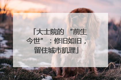 大士院的 “前生今世”：修旧如旧，留住城市肌理