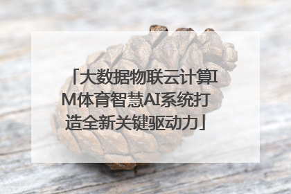 大数据物联云计算IM体育智慧AI系统打造全新关键驱动力