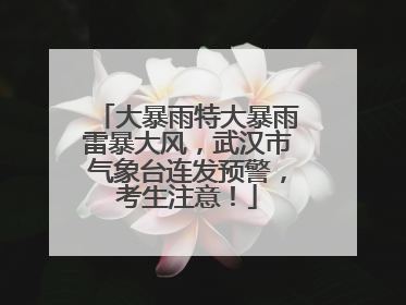 大暴雨特大暴雨雷暴大风，武汉市气象台连发预警，考生注意！