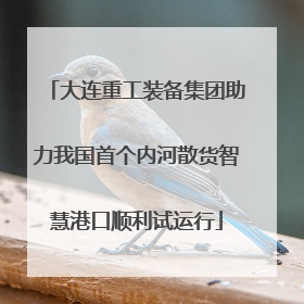 大连重工装备集团助力我国首个内河散货智慧港口顺利试运行