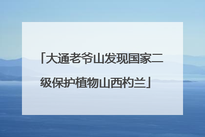 大通老爷山发现国家二级保护植物山西杓兰