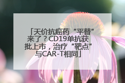 天价抗癌药“平替”来了？CD19单抗获批上市，治疗“靶点”与CAR-T相同