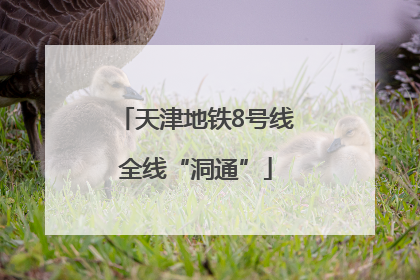 天津地铁8号线全线“洞通”