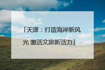 天津：打造海岸新风光 激活文旅新活力