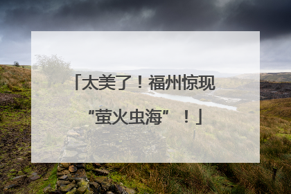 太美了！福州惊现“萤火虫海”！