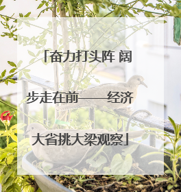 奋力打头阵 阔步走在前——经济大省挑大梁观察