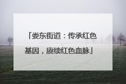 娄东街道：传承红色基因，赓续红色血脉