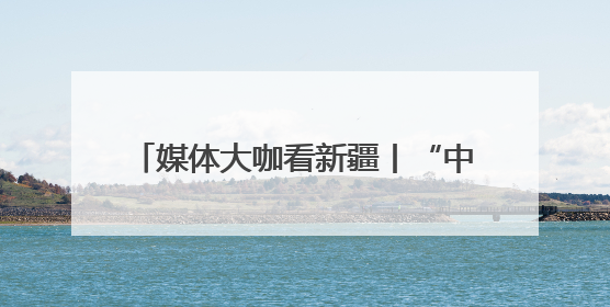 媒体大咖看新疆丨“中国新疆的城市非常繁华，处处都充满活力”
