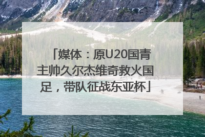 媒体：原U20国青主帅久尔杰维奇救火国足，带队征战东亚杯