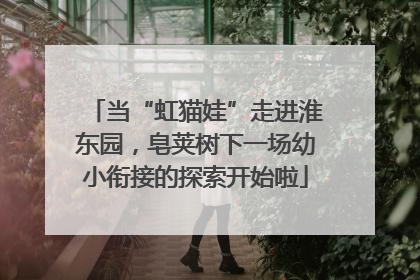 当“虹猫娃”走进淮东园，皂荚树下一场幼小衔接的探索开始啦